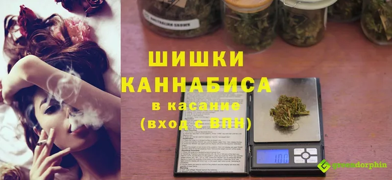 магазин продажи наркотиков  Луза  Бошки марихуана SATIVA & INDICA 